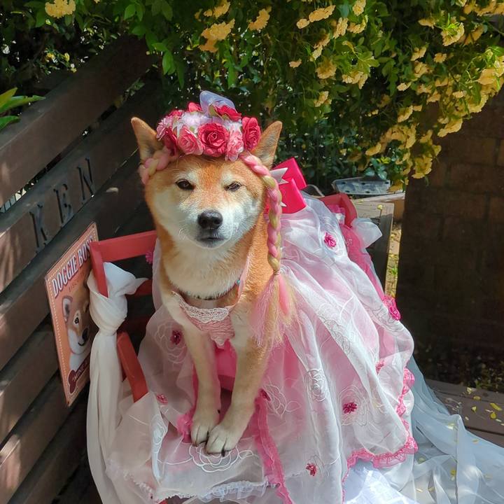 5b9a0a55 d2ad 457b bf32 43463a0ddc85 1747903670897