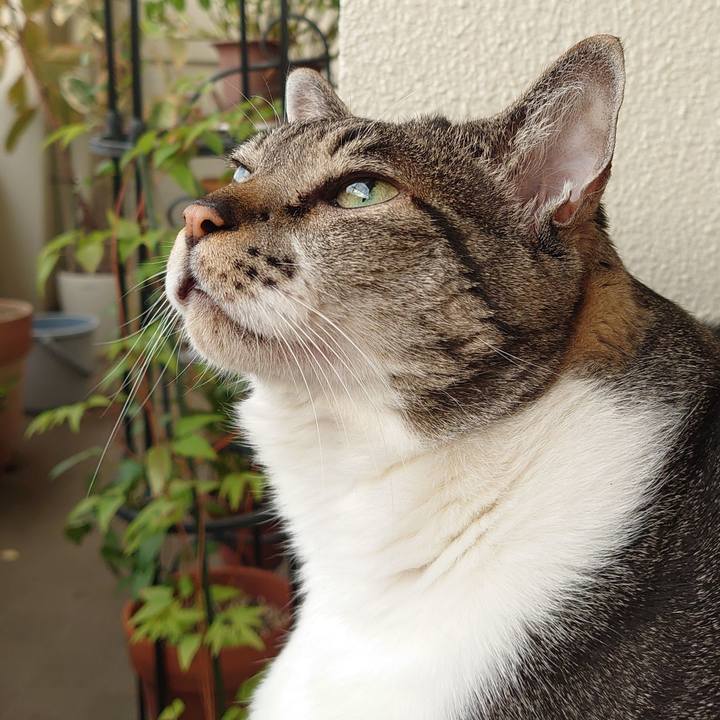 5b9a2805 61dc 467d bdbe f3f419e12bf3 1621807303623