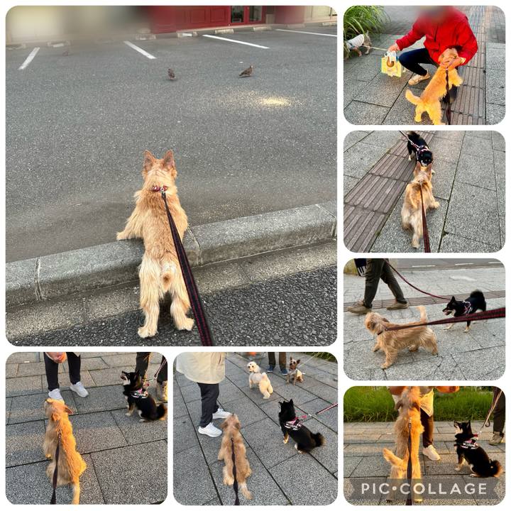 5b9a53a1 0139 4327 a91f c4ec724efa2f 1728982544627