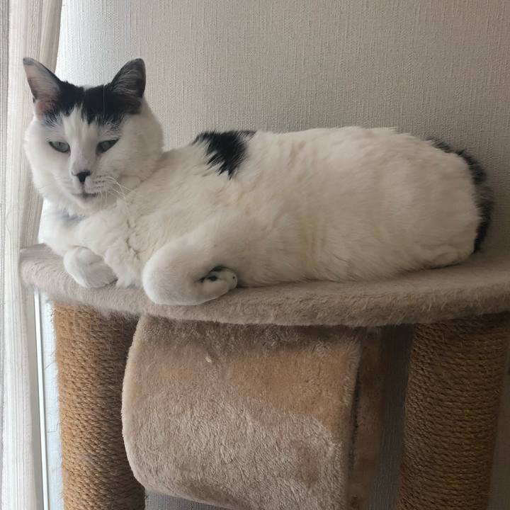 5b9a5701 bbbd 4713 a4bd 23a33a44b78c 1548804953011