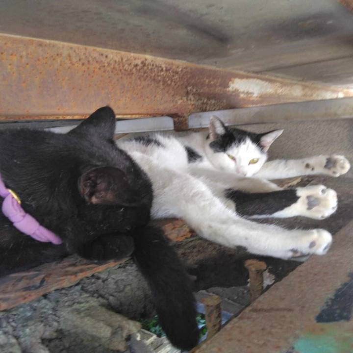 5b9a6164 e7d3 4c97 bbd5 51bf8b624506 1725941845849