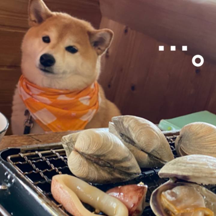 5b9a63a3 c1dd 4f5a 9323 286e861c2a86 1620133989239