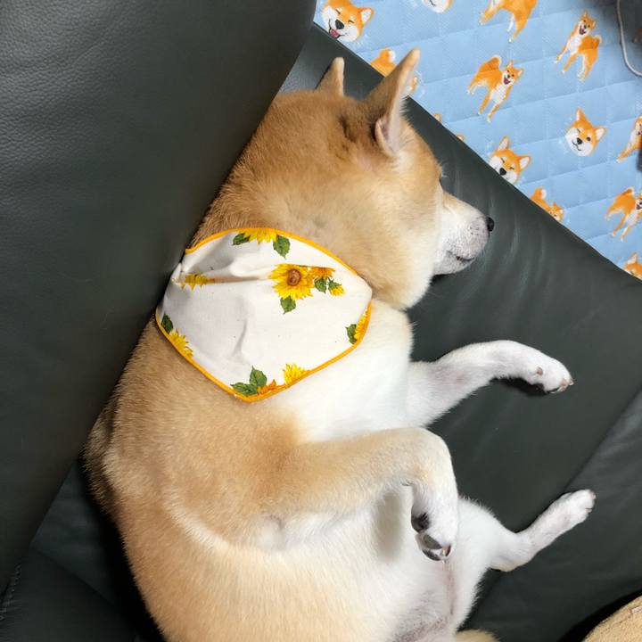 5b9a6e5a 806b 49ae bd49 8d730f7683d7 1569279540825