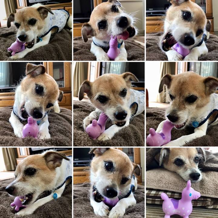 5b9a797e 8f10 4bb4 adf6 2ebfcb98a442 1628225125875