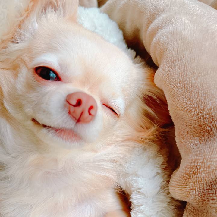 5b9a90e8 d419 43d9 923e 5500a9f06db5 1649123121504