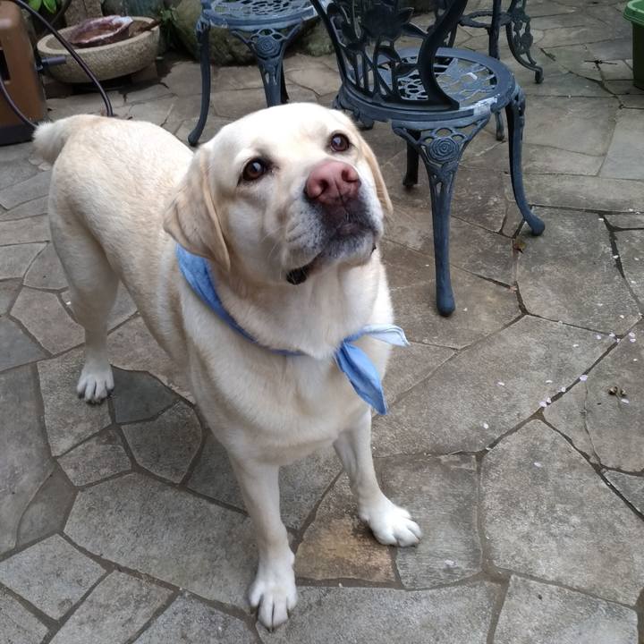 5b9a9ace 8787 4bf8 b632 562e59f34603 1583569226157