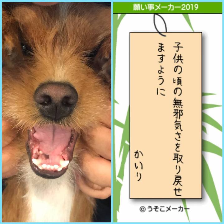 5b9aa90c 3578 4499 859d 9f926cfc3303 1562494445970