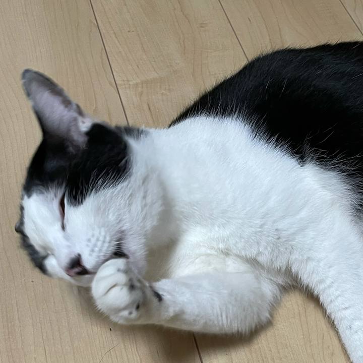 5b9abc30 6a2b 400f ab92 f20783aa5d7f 1622463258120