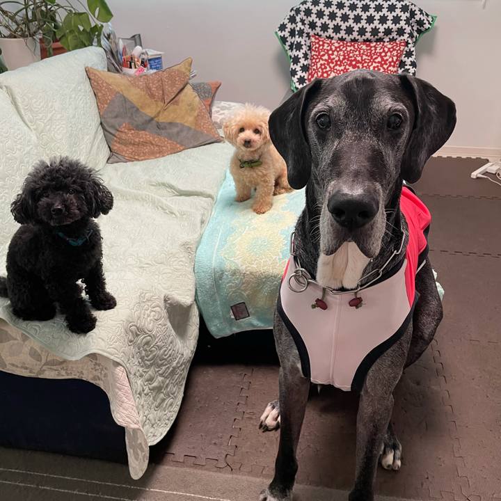 5b9aded8 e44f 4ac1 90bc d6fdaab1327e 1631487353980