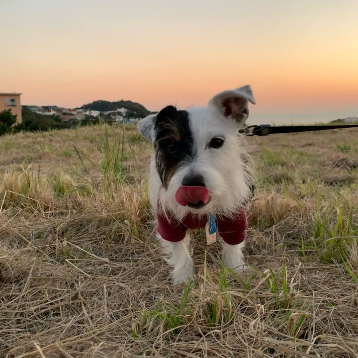 5b9b32bc b410 4464 a56f 128d03f06cc3 1635409642649