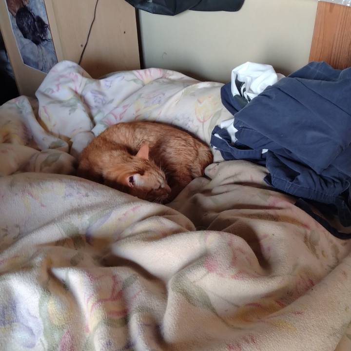 5b9b5fab b3b5 42de 8121 b13989937d74 1713822035792