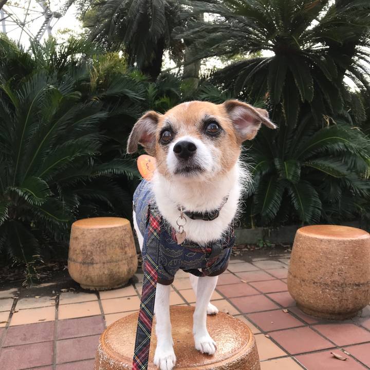 5b9b6390 d8ea 4980 b75a d7d175387163 1572079308958