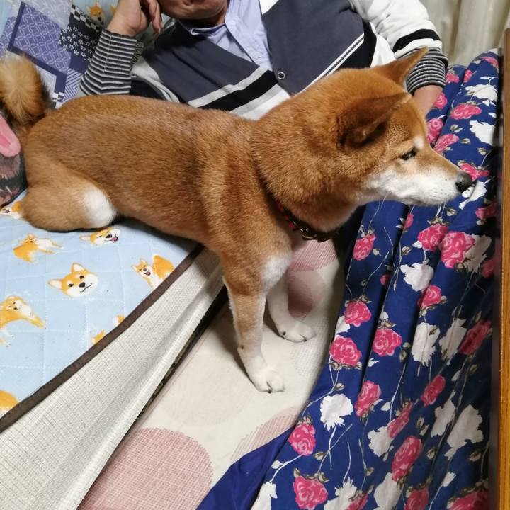 5b9b92fd 855d 4441 be41 ad030a792eba 1641821684991