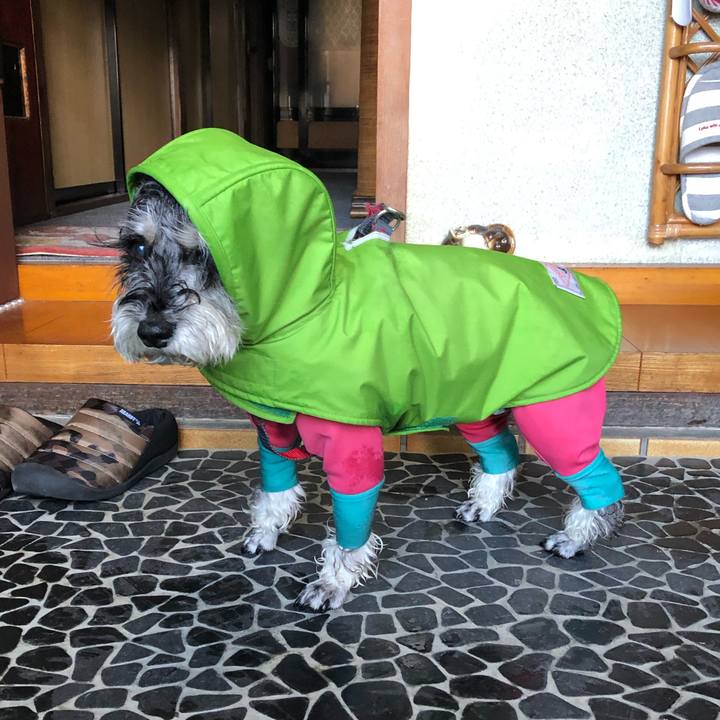 5b9bbb69 2836 41b5 a56d 5b4c8df0f9b5 1672639741127