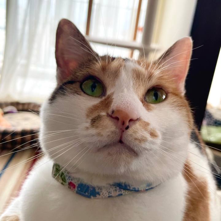 5b9bd53b d0c0 4e71 b831 224a74fe61d2 1722139337888