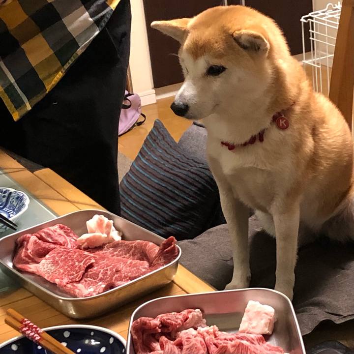 5b9bfbfd 5511 4e70 9619 5a8a0a566211 1640746114124