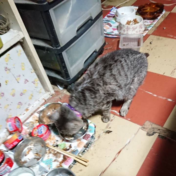 5b9c0cff cc88 460e bbaa b96cb2954ad6 1593630908853