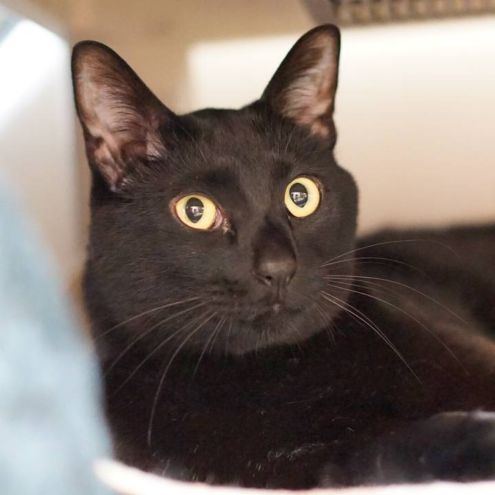 5b9c340d 3f20 478f 81db 33a957664599 1553522920906