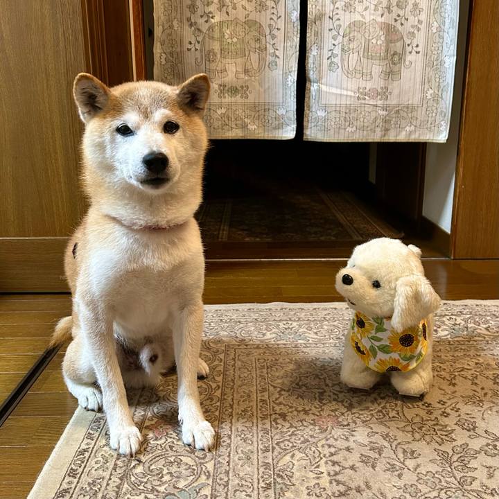 5b9c4b8d f301 4698 8fa9 caab430fc444 1752664938105