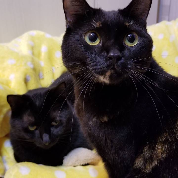 5b9c5041 b63a 476a 9996 d2612d5a8413 1549247513583