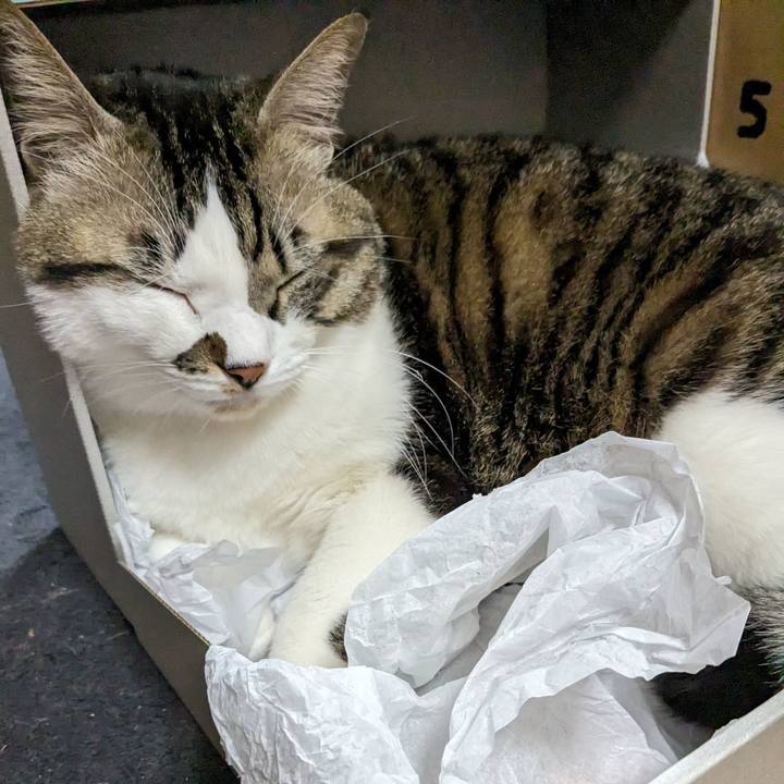 5b9c76d5 6534 4ad6 a0df 72ba48f210c4 1704886289519