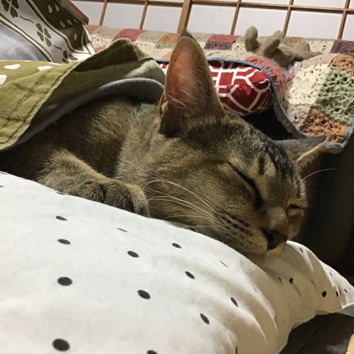 5b9c85de 33c8 476e ac6d c0d2f5dbad05 1576918016469