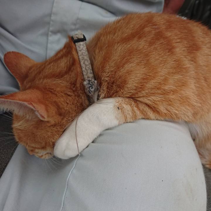 5b9ca012 5f5a 4f95 888e 3cdd84541161 1594549067366