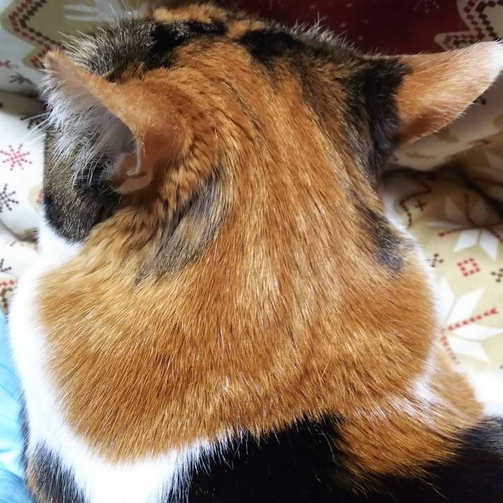 5b9ca216 e407 4c24 99b1 e8544a1ffca8 1584071937379