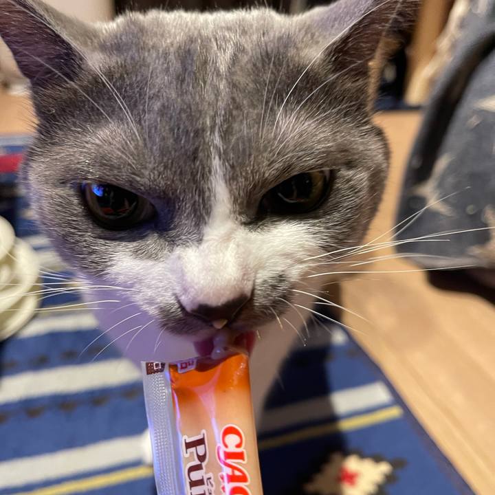 5b9cc6ee 1987 46c0 9fdc bf0edbd297e3 1660996717801