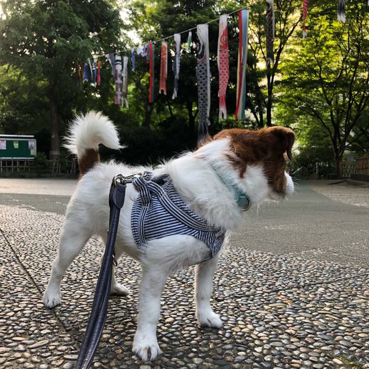 5b9ccc4b 0709 4044 b39d 648ca6992a43 1525556089159