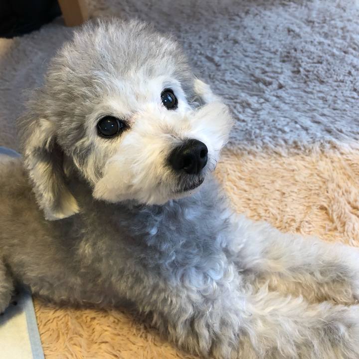 5b9ccc9e 8ab2 4c75 ae80 8bb389f00572 1543791970175