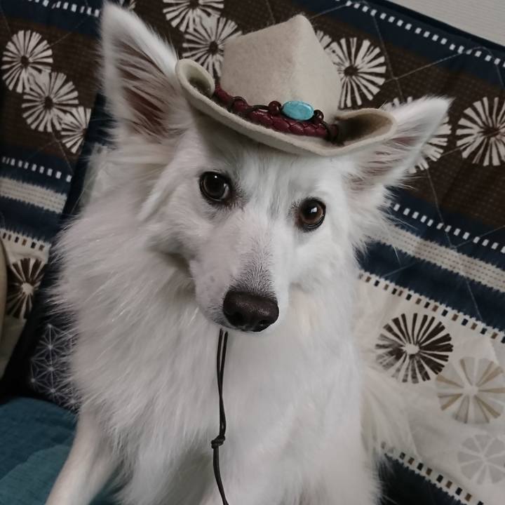 5b9cd975 aa95 4ee5 896b 1f2b5af9ff05 1525582347816