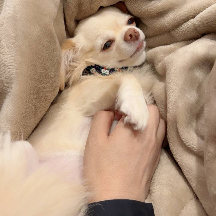 5b9d09d1 0c19 48f7 a2c8 97b01c736e35 1729683688984