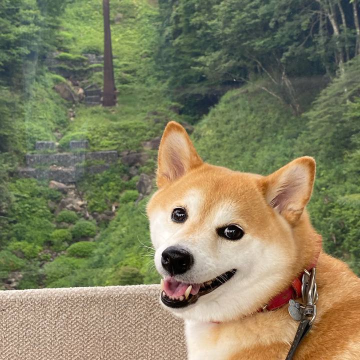 5b9d6235 b915 4be6 bbb6 d4cdfa32fbf6 1627393813712