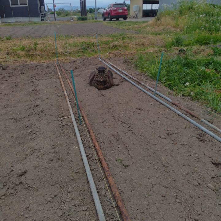 5b9d8237 690c 429d 8c35 26bcf2560fe3 1715159758322