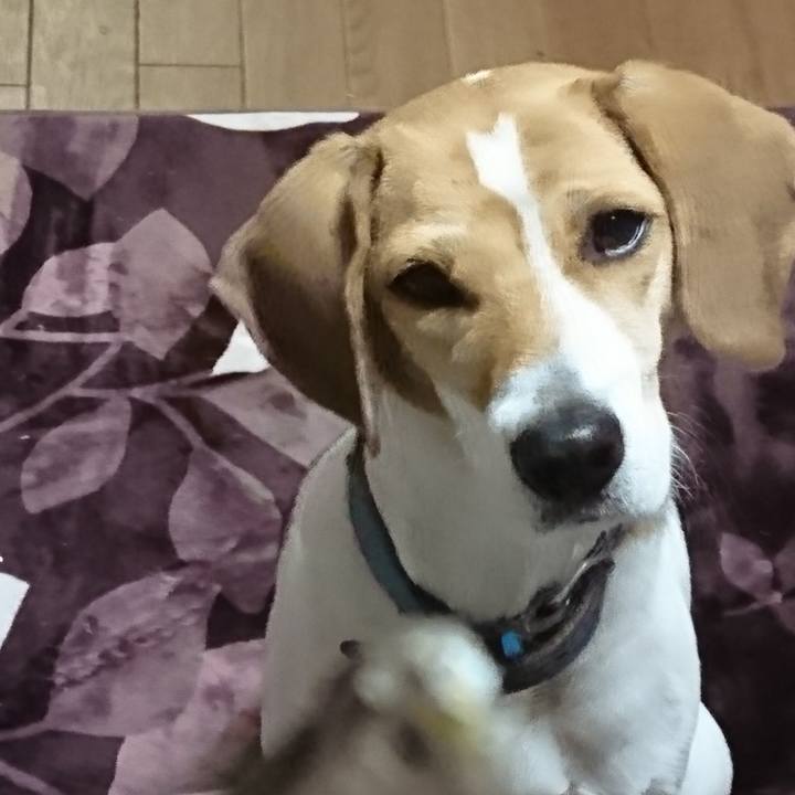 5b9db4b3 7ffc 4a9c 87a9 b572892bfcae 1575023191193