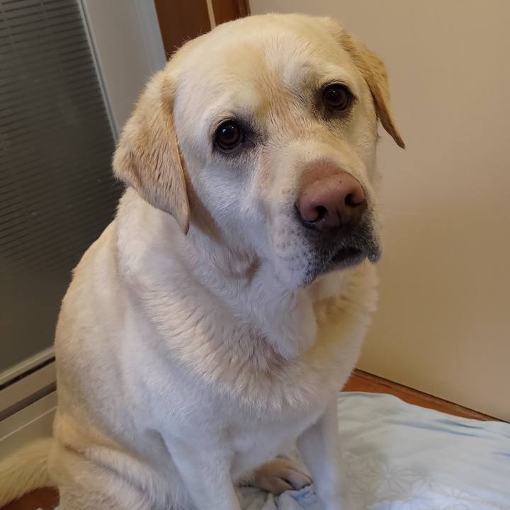 5b9db71f a5ca 44d0 9b2a 2c1deae5deae 1651282381431