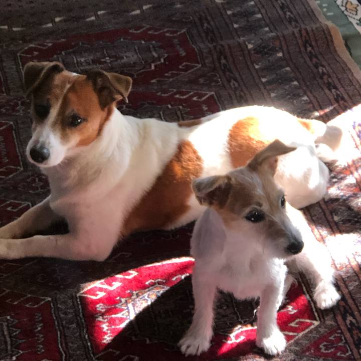 5b9e214c edc1 4d4e b715 b352585997d6 1604901607954