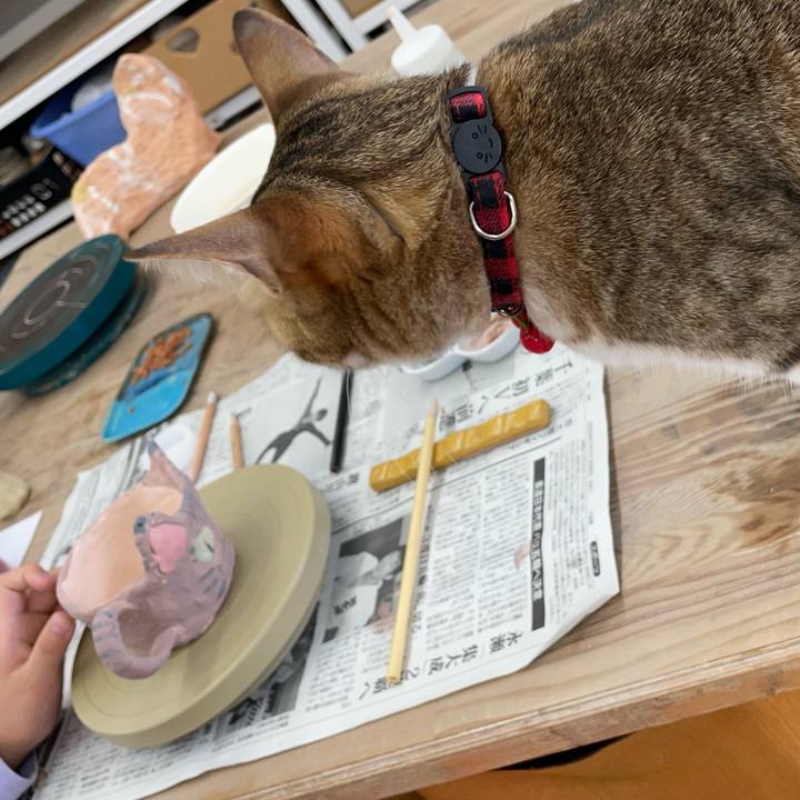 5b9e36d2 5685 41f8 80d1 241cf81c5854 1715948904013