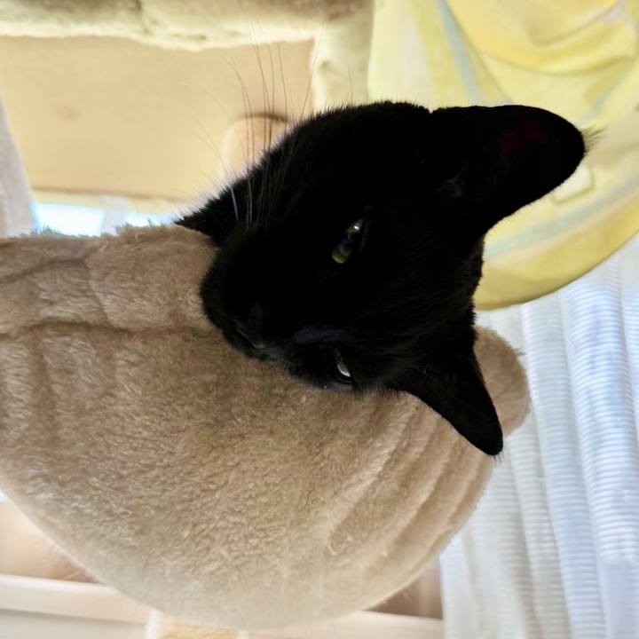 5b9e388f d254 4ccb 9a07 3059300581e2 1754472777983