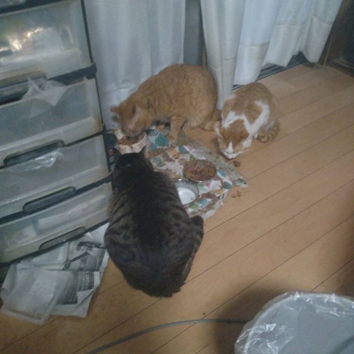 5b9e41f7 1f51 4717 91d0 72e3998b6ee1 1741511216463