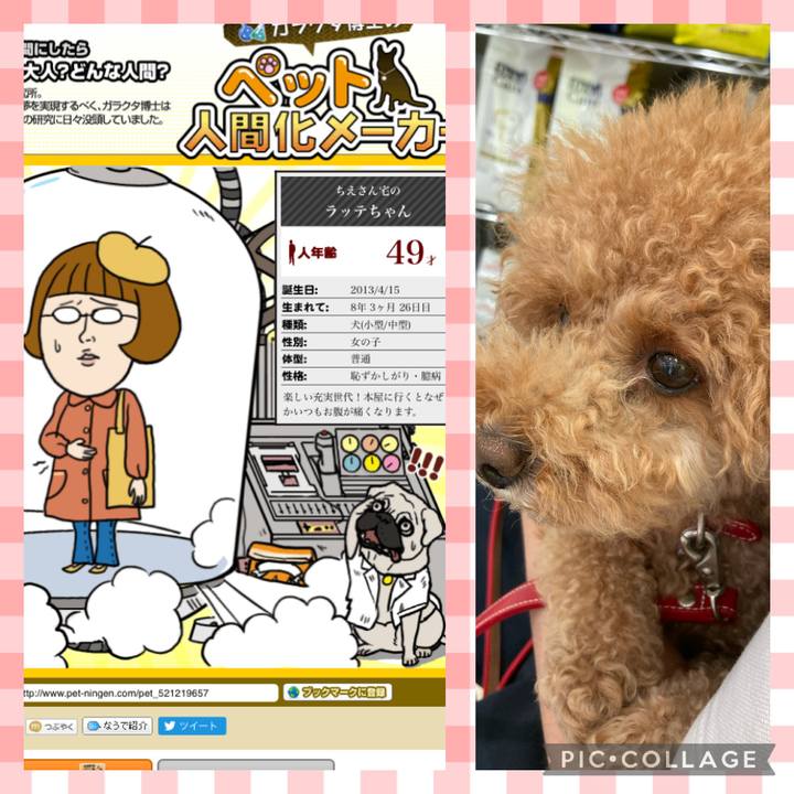 5b9e93d9 3941 44d3 b4c7 0f146fa36a4e 1630115025468