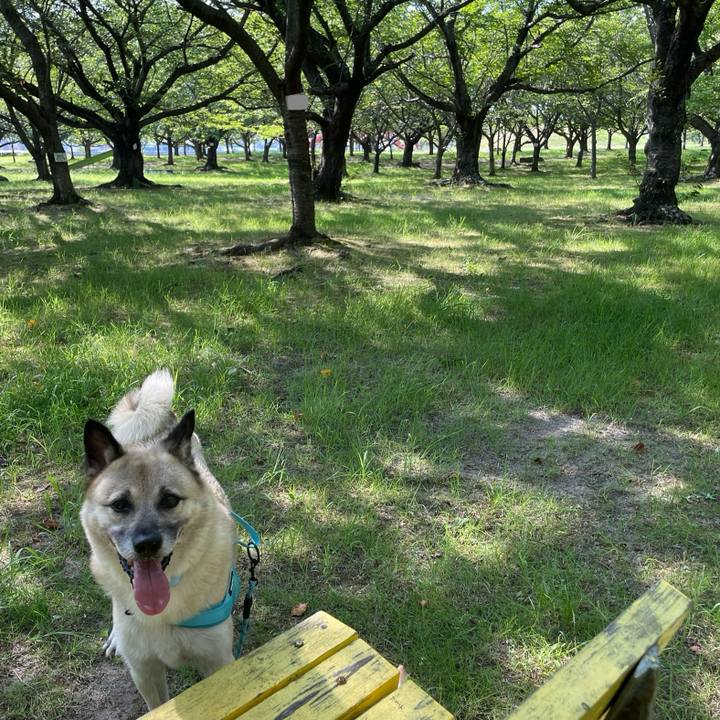 5b9eaa7e 42c9 4eea a305 74ce216b648f 1723285914362