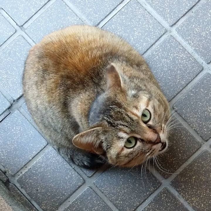 5b9ed803 ef7d 4778 a457 a96a1581e075 1618742591374