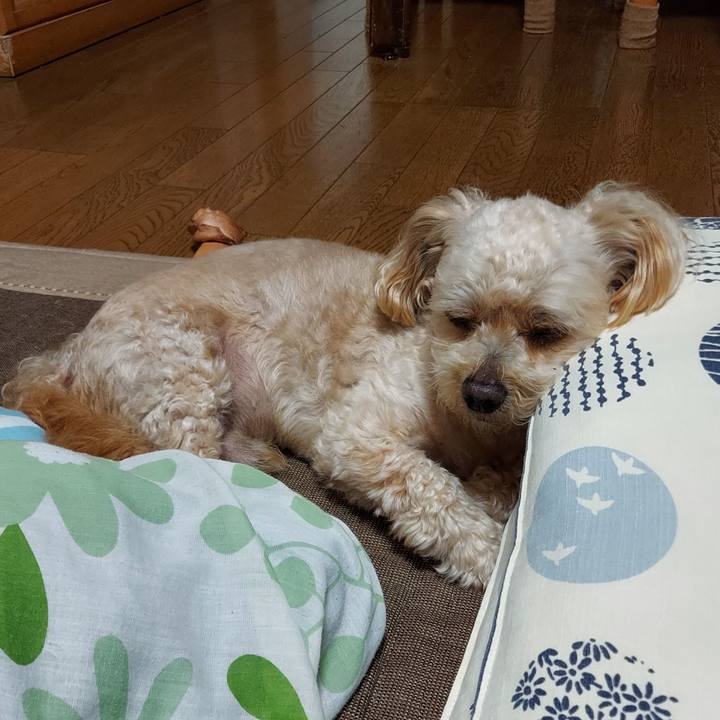 5b9edfd4 938b 4e5e 9387 c2d4255d71d6 1657081561407