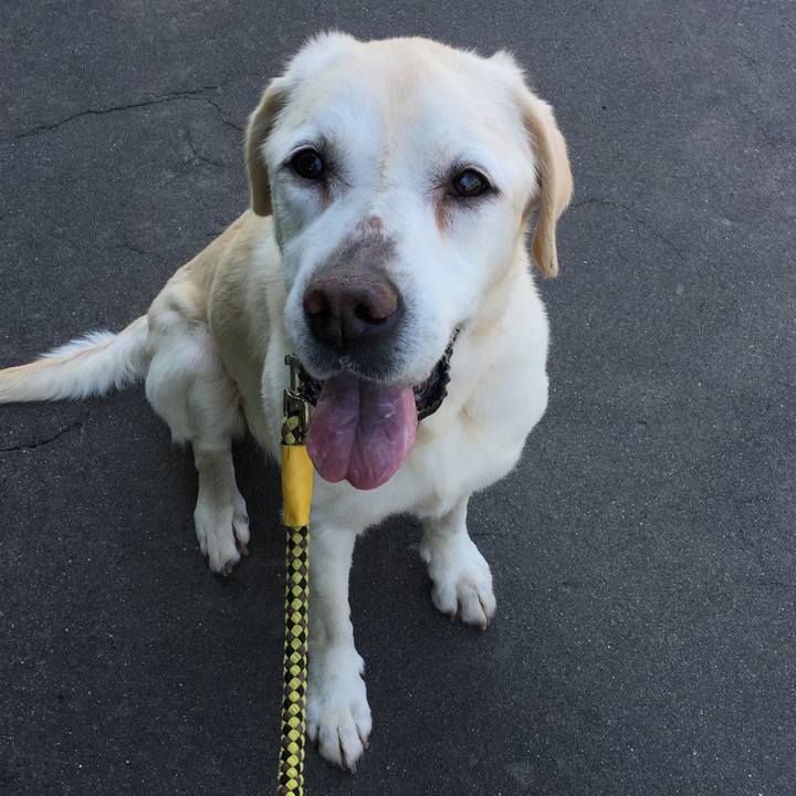 5b9f0281 4b11 467c 9290 ee7f0303375b 1526950692188