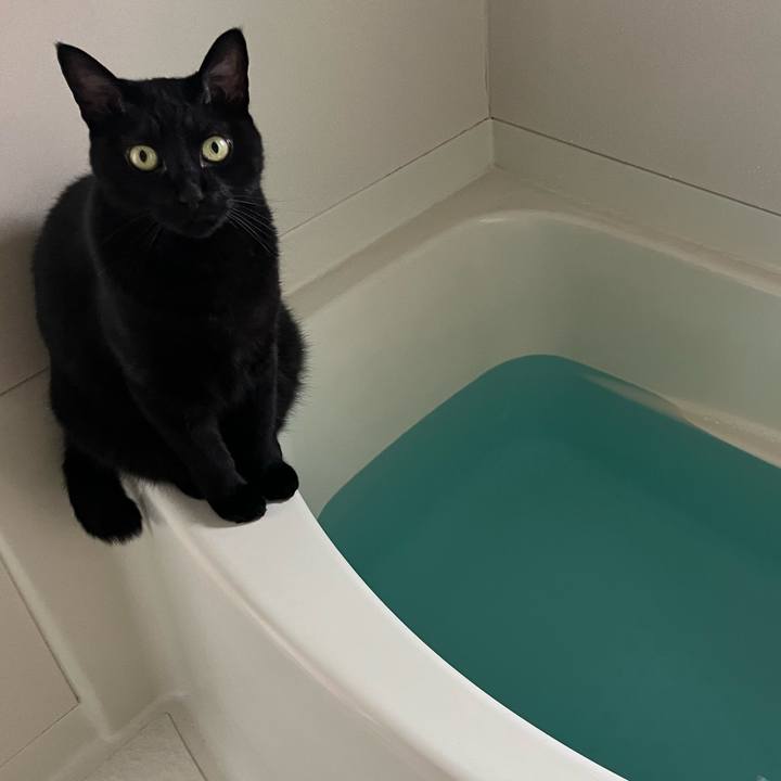 5b9f1b3c 85ce 45fe ab3c 4466e05b27f8 1755389118315