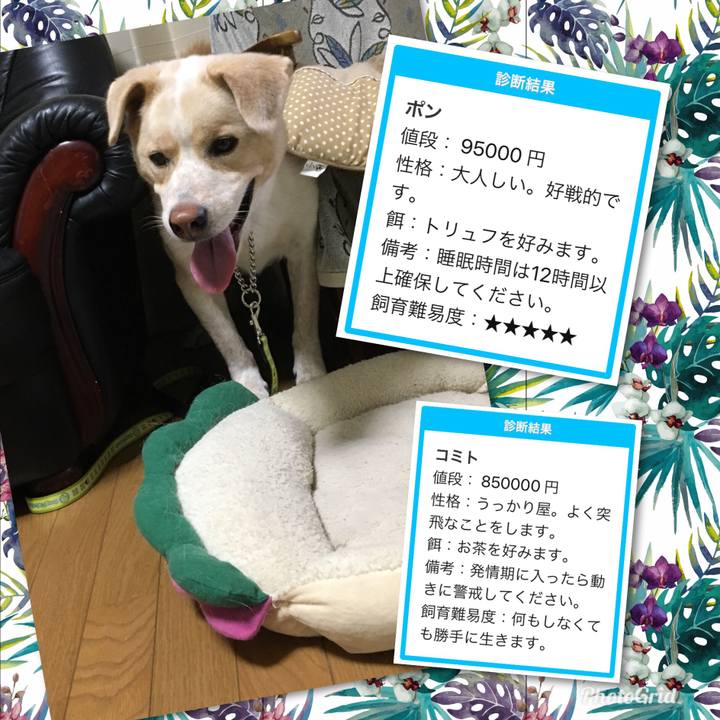 5b9f5e18 cb42 4447 964f 38e4e56f8ca0 1530021217994