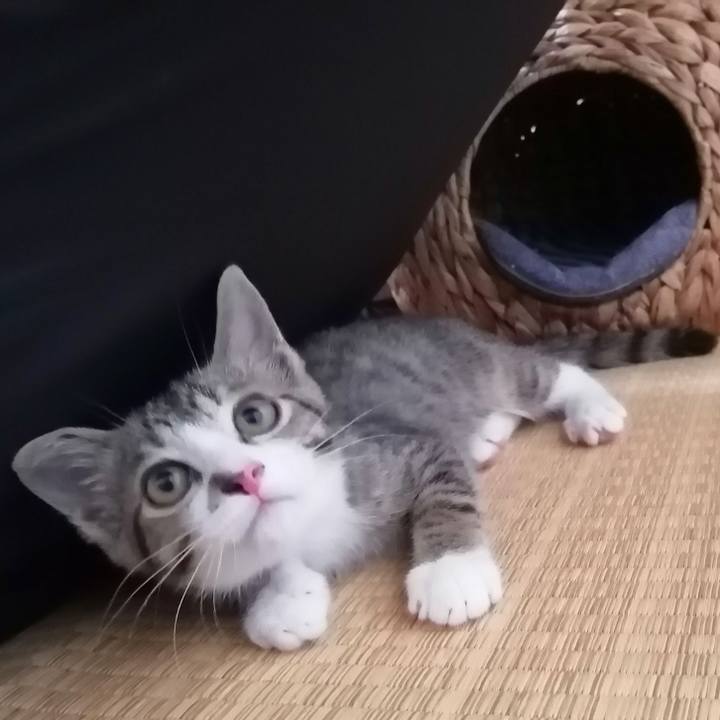 5b9f7c83 e555 45fc 8306 6c945f48351e 1659008388524