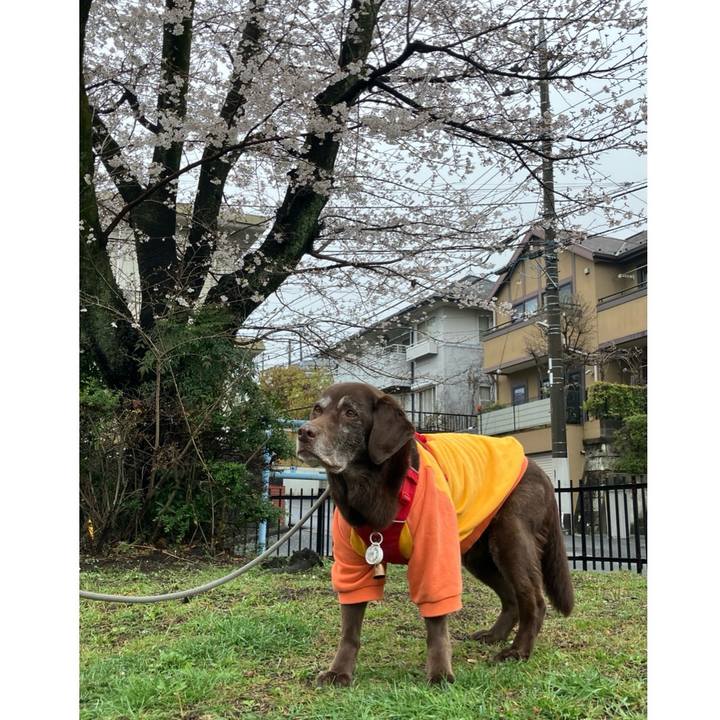 5b9faa91 9678 4a0b ab21 bc44d94a6680 1774947792944